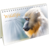 Bureaukalender Wildlife 2025