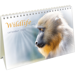 Bureaukalender Wildlife 2025