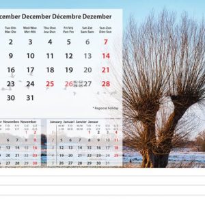 Bureaukalender Beautiful Nature 2025 - December