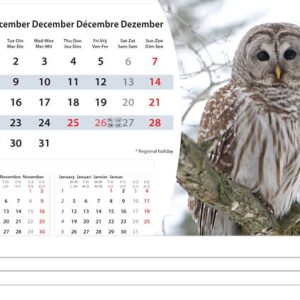 Bureaukalender Wildlife 2025 - December