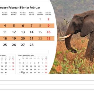 Bureaukalender Wildlife 2025 - Februari