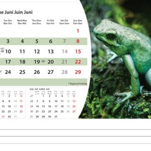 Bureaukalender Wildlife 2025 - Juni