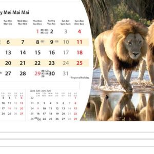 Bureaukalender Wildlife 2025 - Mei