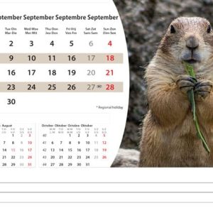 Bureaukalender Wildlife 2025 - September