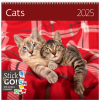 Muurkalender Cats 2025