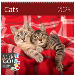Muurkalender Cats 2025