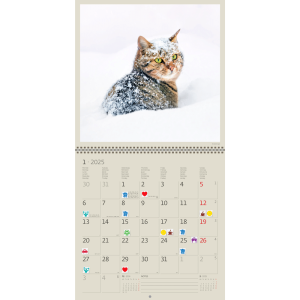 Muurkalender Cats 2025 - Januari
