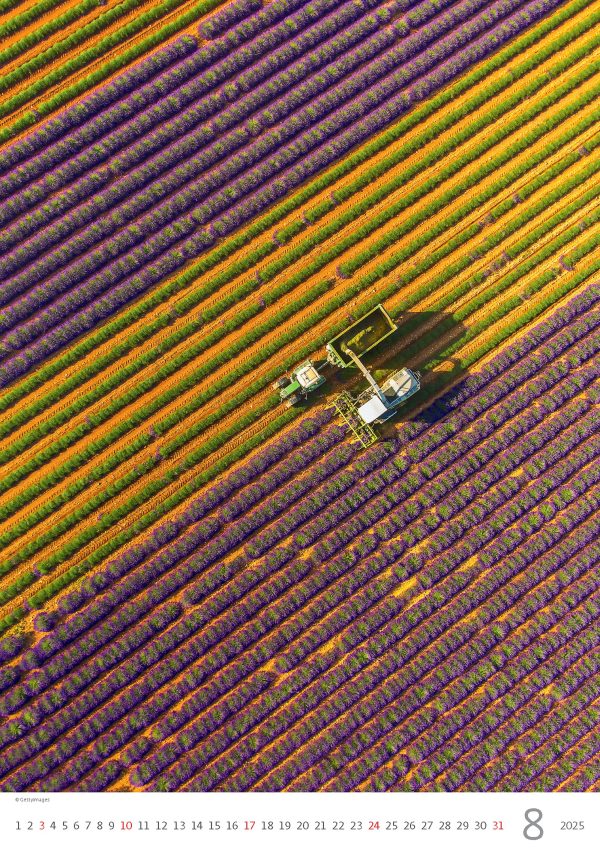 Muurkalender Provence 2025 - Augustus