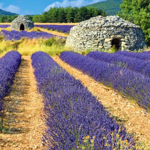 Muurkalender Provence 2025 - Oktober