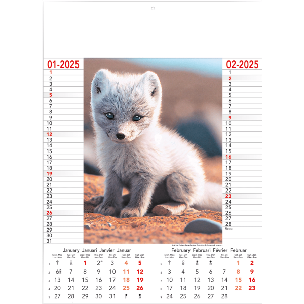 Muurkalender Wild & Free 2025