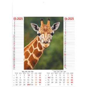 Muurkalender Wild & Free 2025 - pagina 3