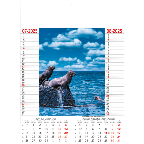 Muurkalender Wild & Free 2025 - pagina 4