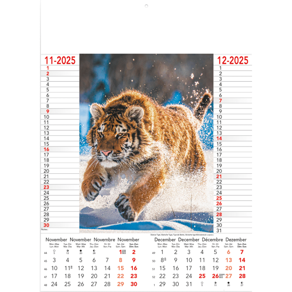 Muurkalender Wild & Free 2025 - pagina 6